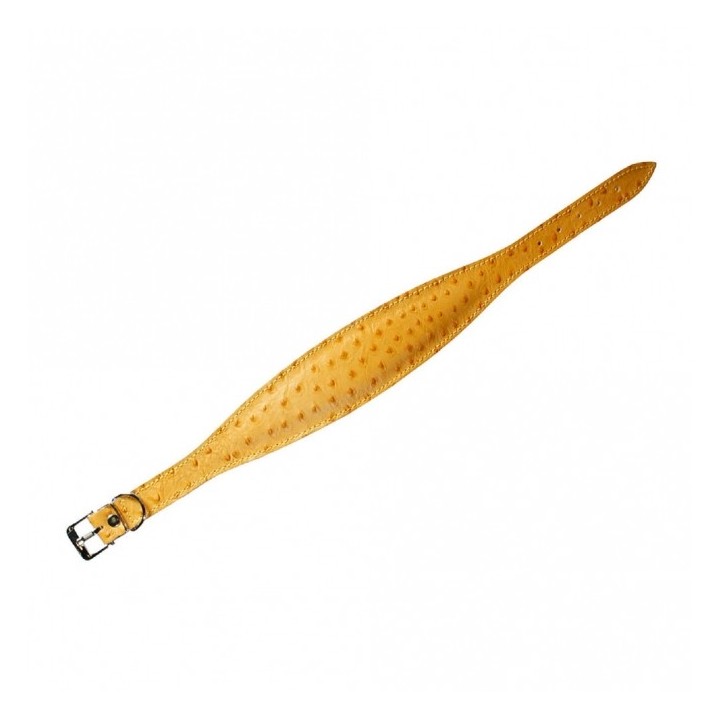 Karlie Windhund-Halsband Ventus - 55cm / Gelb