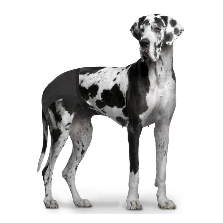 Duvoplus Schutzhöschen - Schwarz - 40-49cm