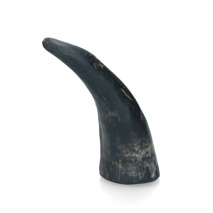 Viking Whole Horn - S