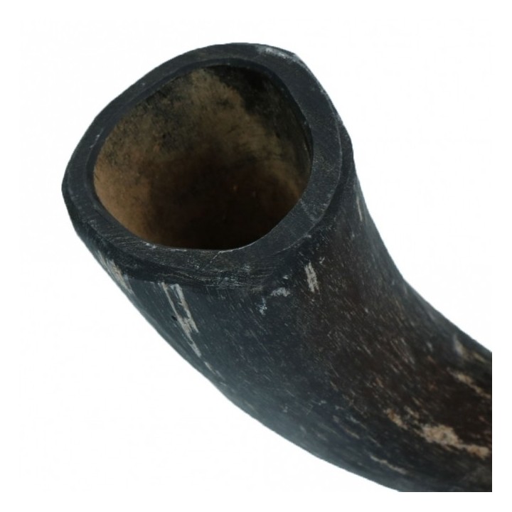 Viking Whole Horn - S
