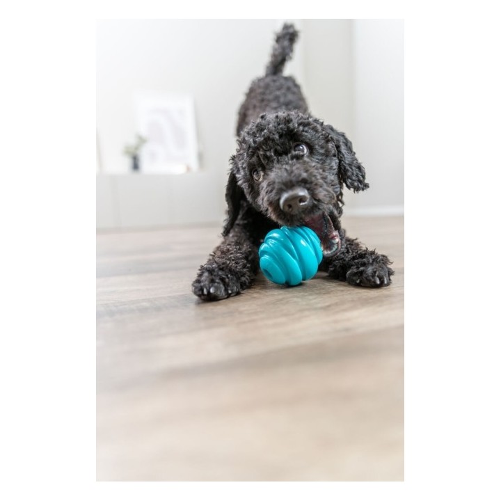 Trixie Super Strong Ball - 6 cm