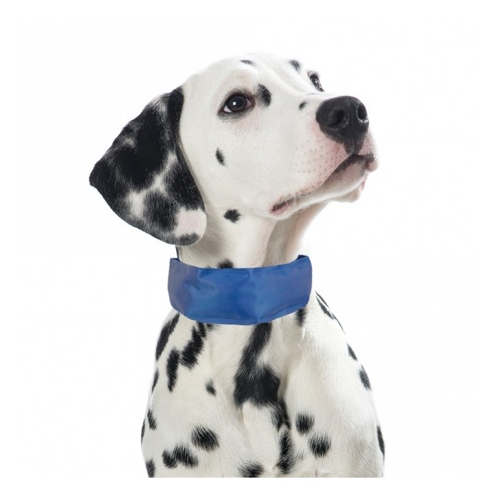 PROCYON Kühl-Bandana für Hunde - M