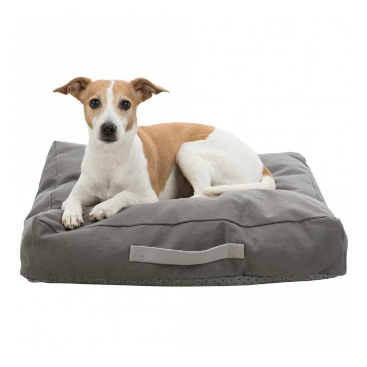 Trixie Be Eco Kissen Danilo - 80 x 60 cm