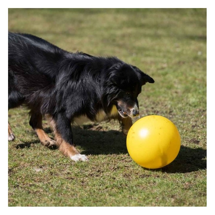 PROCYON Treibball - Gelb