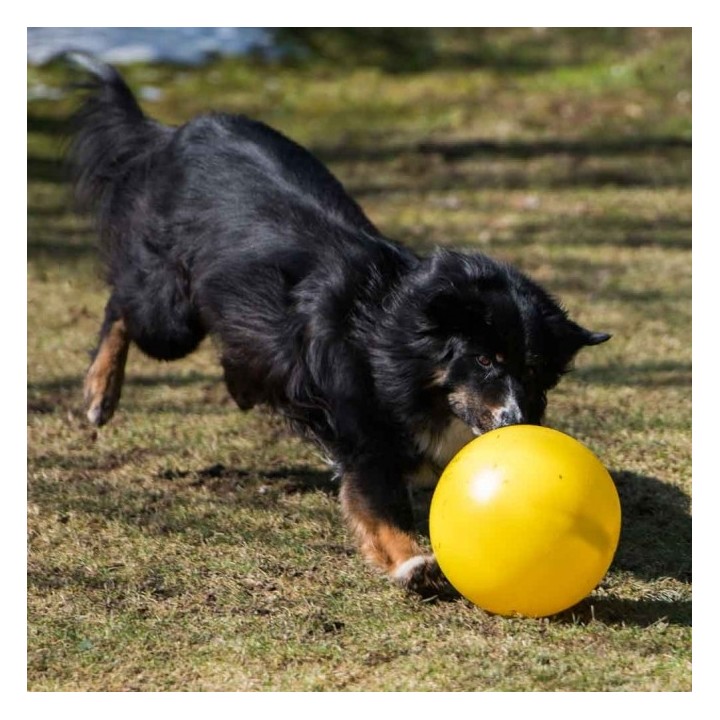 PROCYON Treibball - Gelb