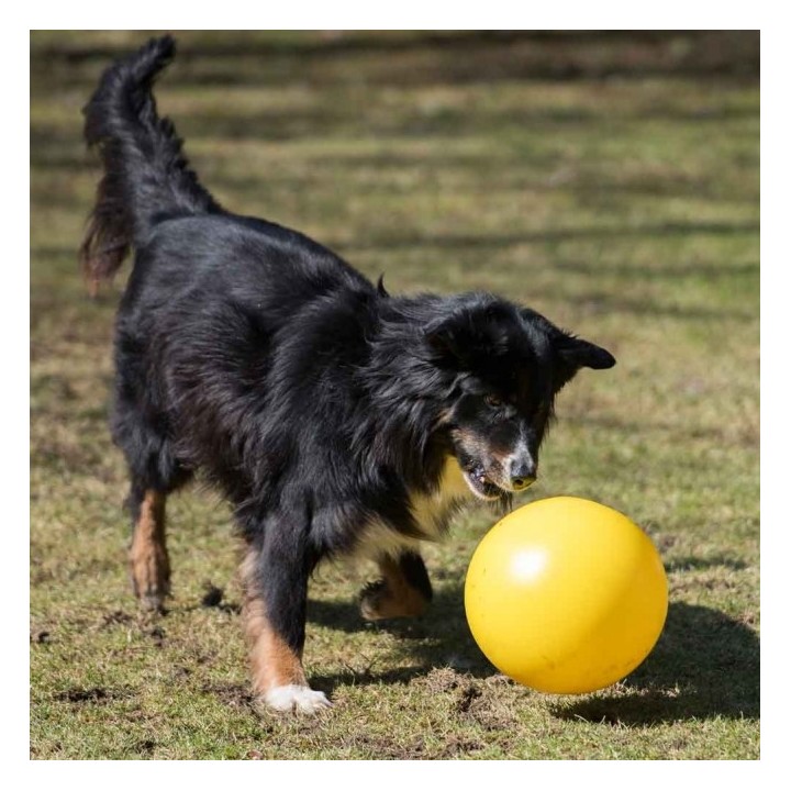 PROCYON Treibball - Gelb
