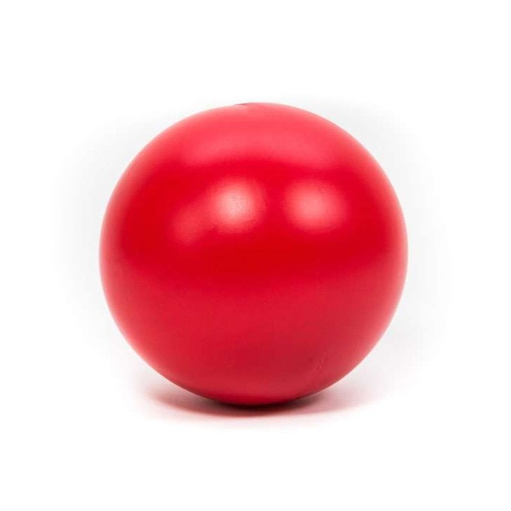 PROCYON Treibball - Rot