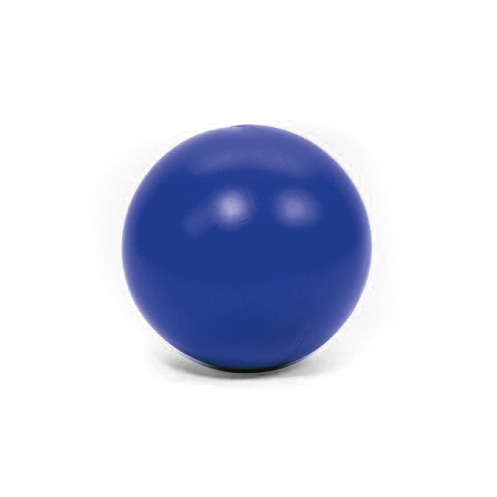 PROCYON Treibball - Blau