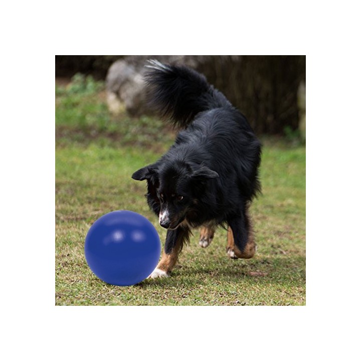 PROCYON Treibball - Blau