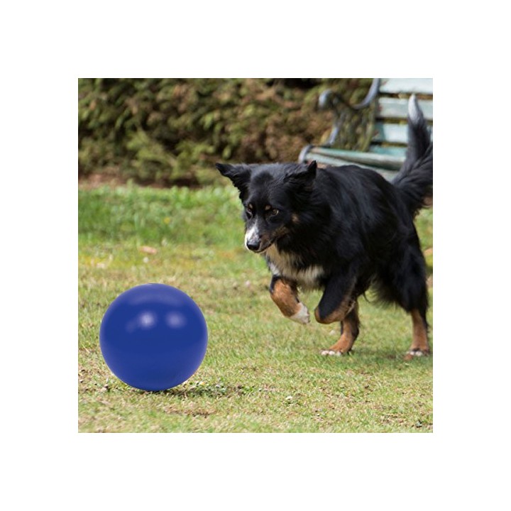 PROCYON Treibball - Blau