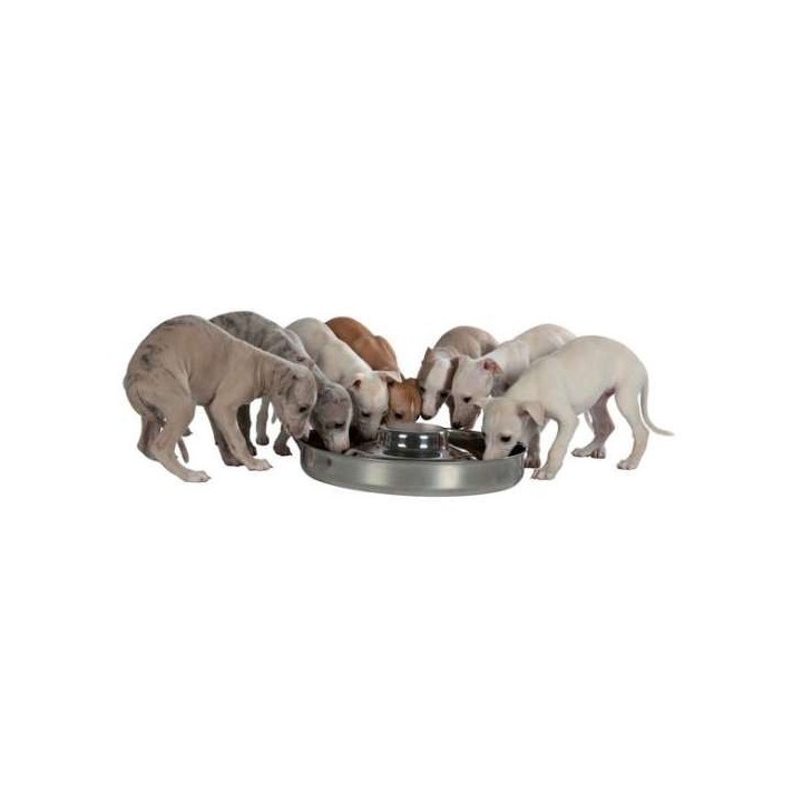 Trixie Edelstahl-Welpennapf - 14 l / 29 cm
