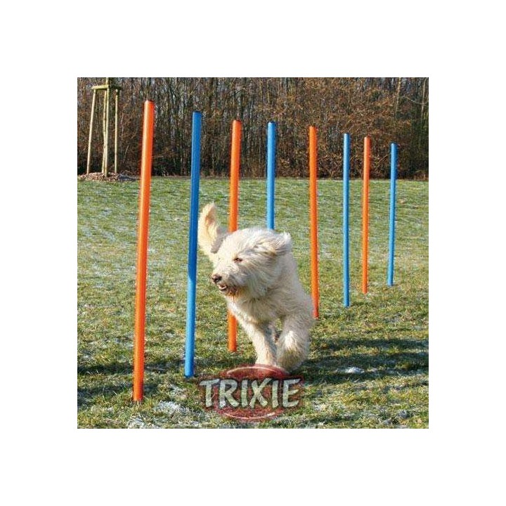 Trixie Agility Slalom