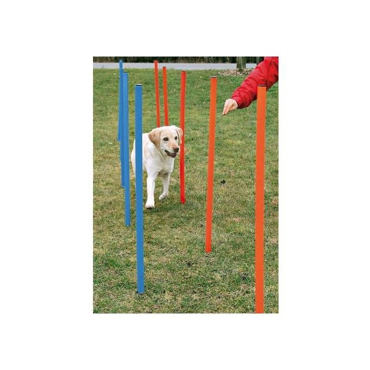 Trixie Agility Slalom