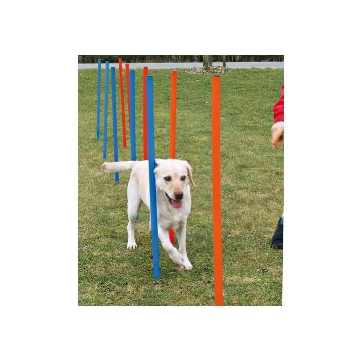 Trixie Agility Slalom