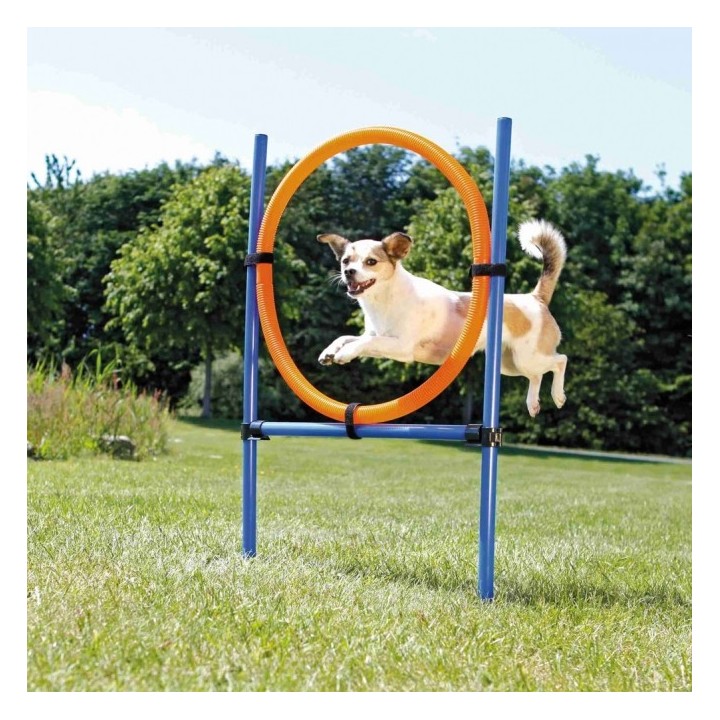 Trixie Agility Ring