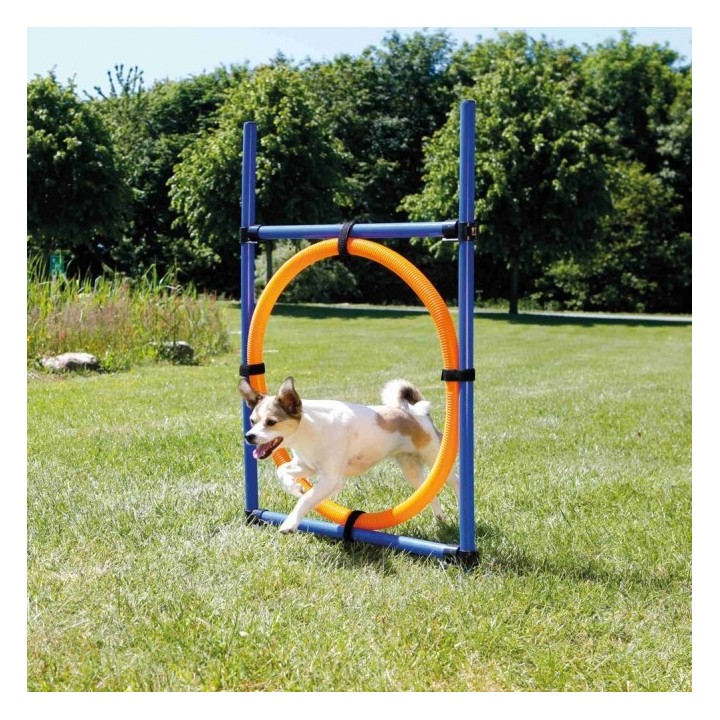 Trixie Agility Ring