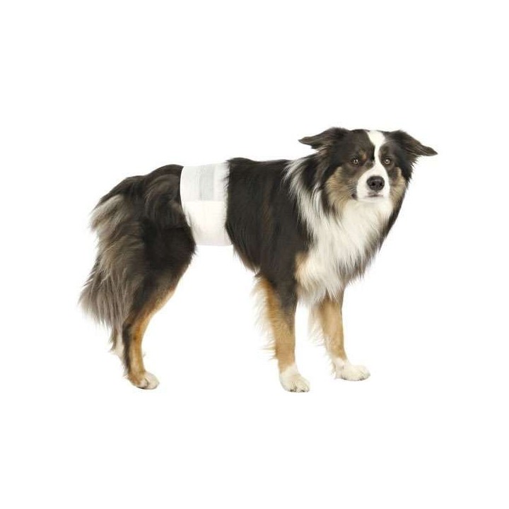 Trixie Hundewindeln für Rüden - XS