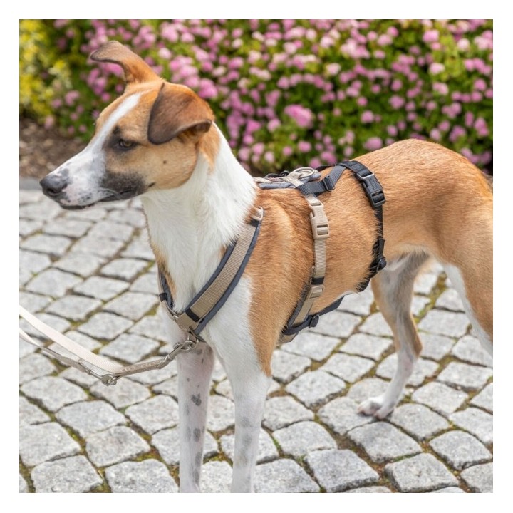 Trixie Panik-Adapter Stay für Geschirre - S–M/38–57 cm