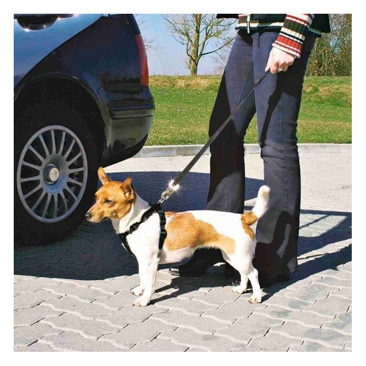 Trixie Auto-Sicherheitsgeschirr - L