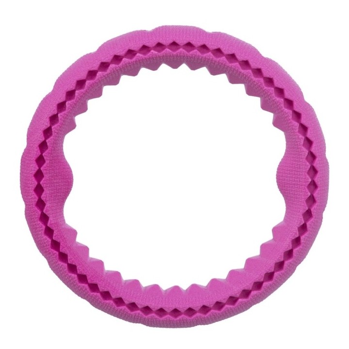 Trixie Ring aus TPR schwimmfähig - 17 cm